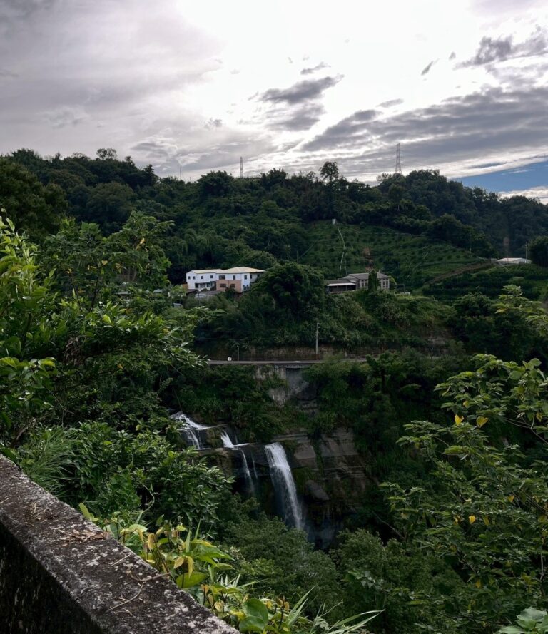 line album 網頁用照片 250731 4