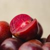 紅寶石李（ruby plum）