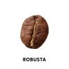 羅布斯塔（robusta）